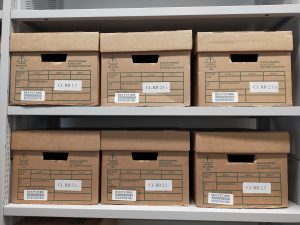 Archival boxes on the shelves waiting to be unpacked