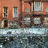 A red brick building with snow and bare shrubs in the foreground
