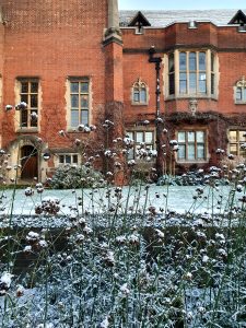 A red brick building with snow and bare shrubs in the foreground